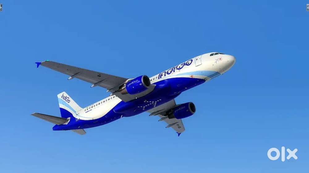 Recruitment In INDIGO AIRLINES Now Opened For All India Candidates