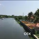 50Cent Water Frontage Land for Sale at Vytila