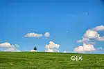 6 സെൻറ് വസ്തു ആവശ്യം ഉണ്ട്..