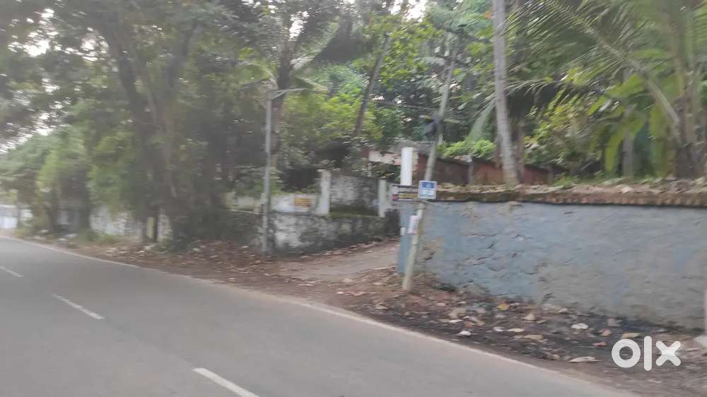 11 cent main road frontage - Loyola school-200 mtrs