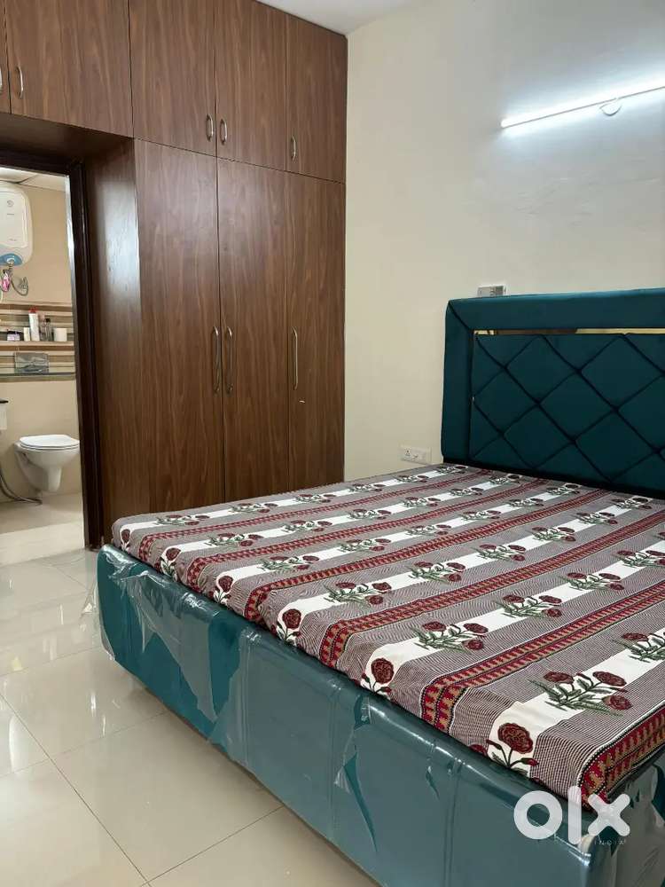 Ready to move 3 BHK fully furnished flat sector 66B