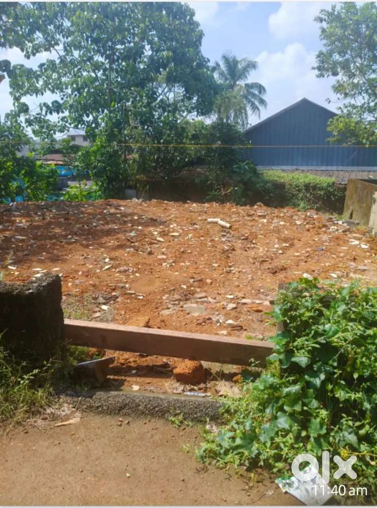 5 cent land. Near Sabine hospital Pezhakkappilly