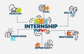 Free 3 month  internship to direct job. Job need person only apply