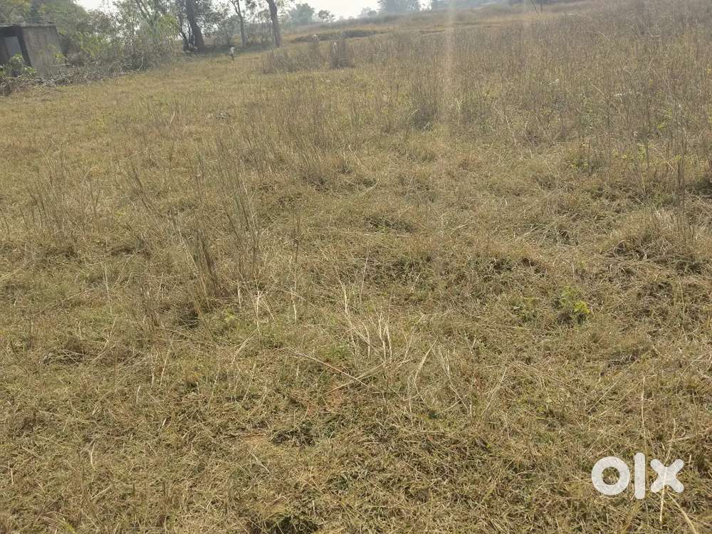 30 Dismil general plot