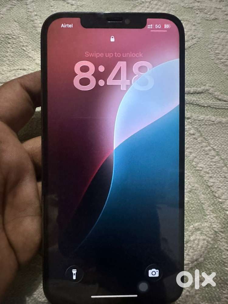 iPhone 12 pro max