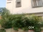 2BHk, Corner house, 1st floor, ceiling and modular kitchen
