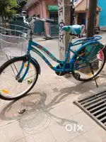 Gang 24 inch 2 month old with GST BILL