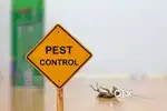Pest control operator for palakkad trissur