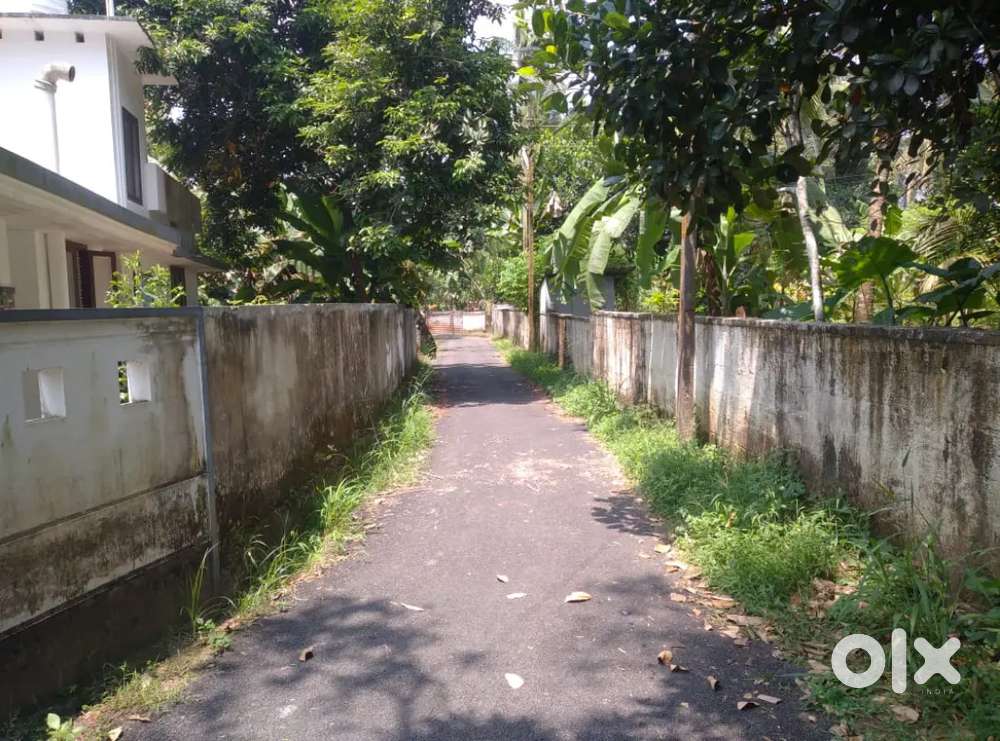 5,10,20,30 cent original land Angamaly kariyad NH just 150 mtr Aluva