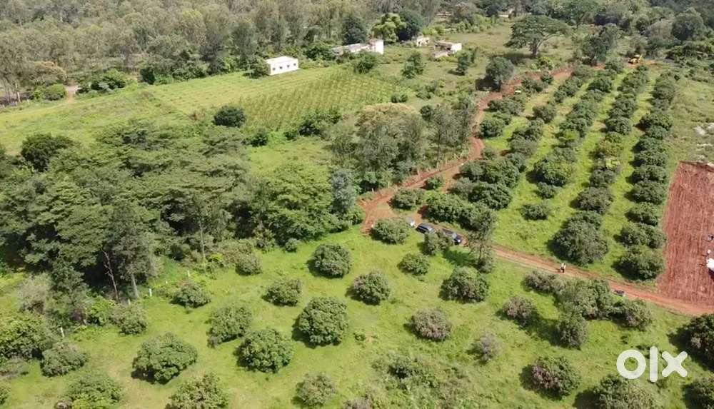 Well Developed Farmland at Thally Tamil Nadu