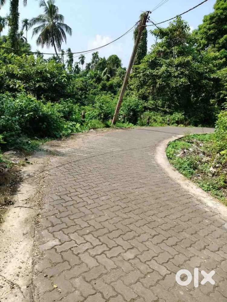 59 Kathas of  Goava Garden at Sreerampur Village in South 24 Parganas