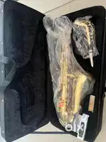 “Complete Saxophone Set - Extra Mouthpiece, Reeds & Case Included!”