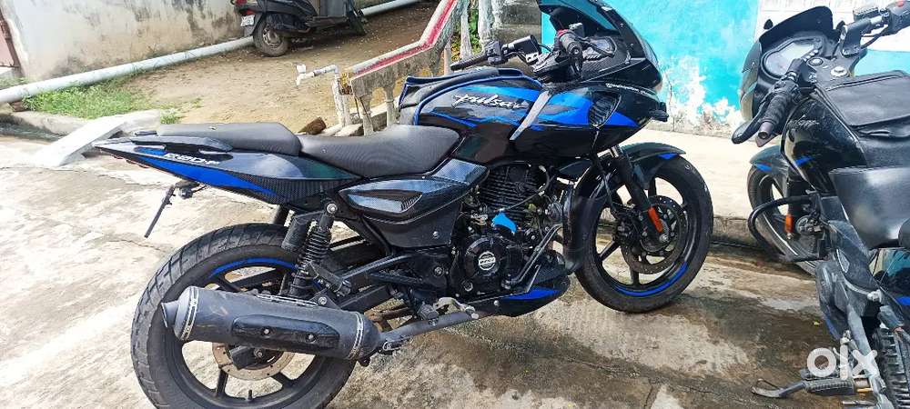 Pulsar 220 f  2024 model