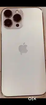 13 pro Max