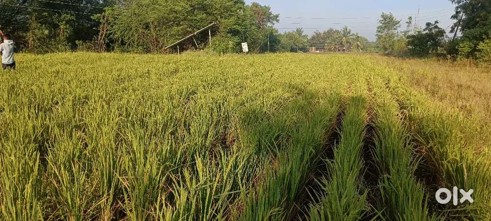 Need worker for farm