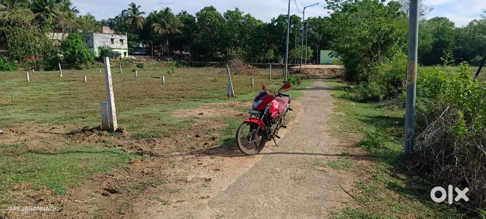 Khandapada (NAC) Word no.8,Dist Nayagarh