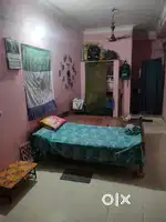Need in one girl roommate