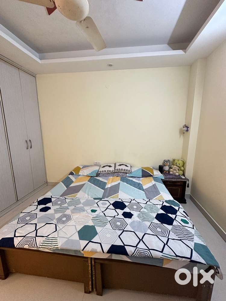 I need a female roommate