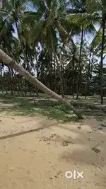 Beach side property with house for sale