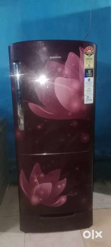 Samsung freeze  Single Door