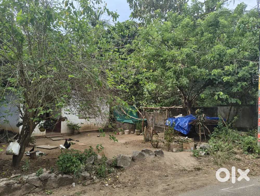 8.15 cent residential plot