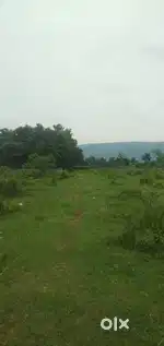 Site for sale Narava