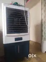Best hai col