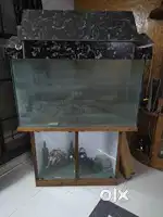 Fish Tank with stand