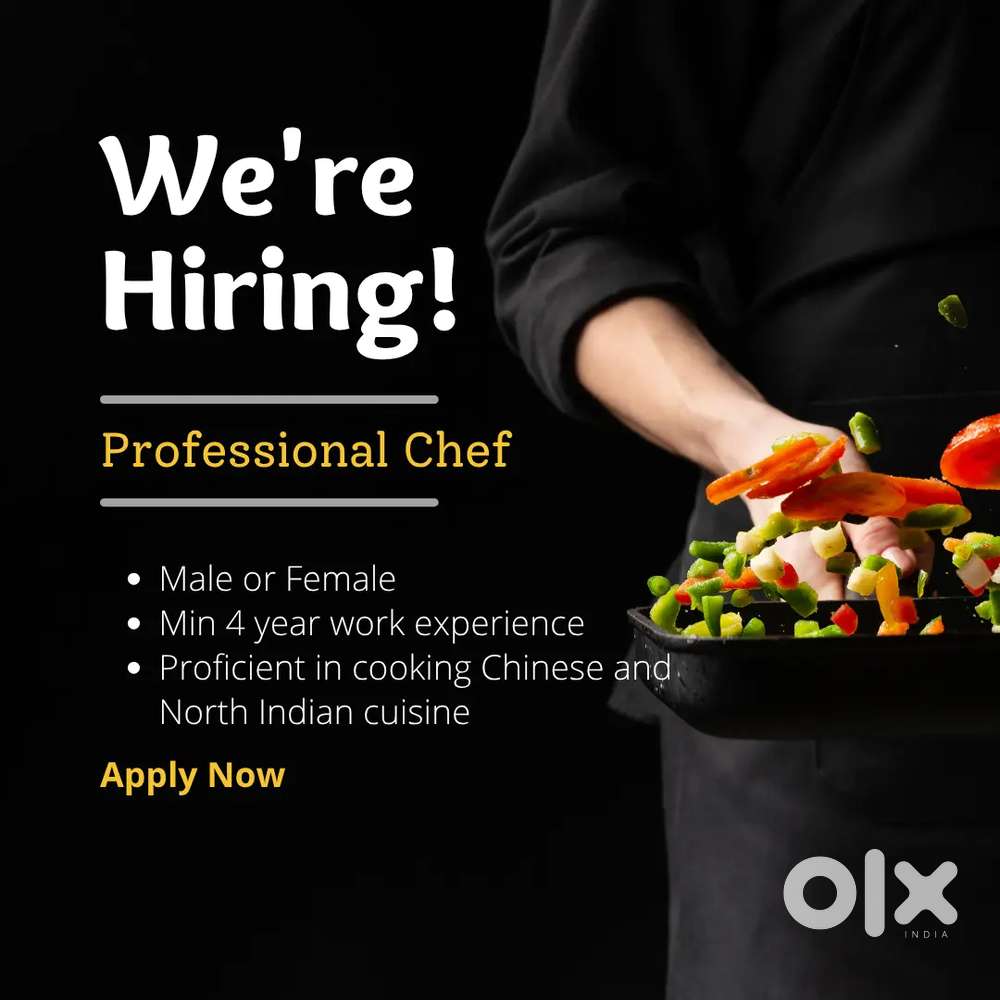 Chef for Chinese and North India