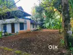 Kakkanad Kangarappady Main Road 6 cnt plot 13 pr cnt Negotiable