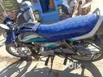 Full ok fresh new