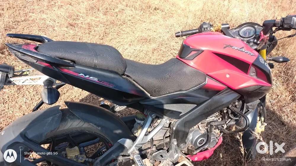 67000 fest owener tayer sara