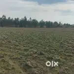 1 acre agriculture land