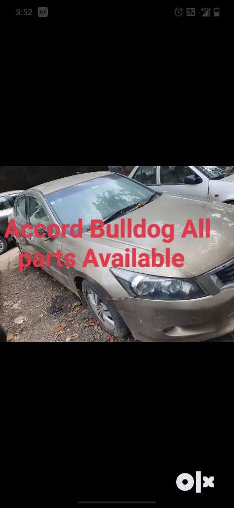 Honda Accord Bulldog All parts available
