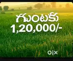 Agricultural land for sale,