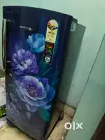 Brand new fridge