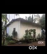Small house for rent