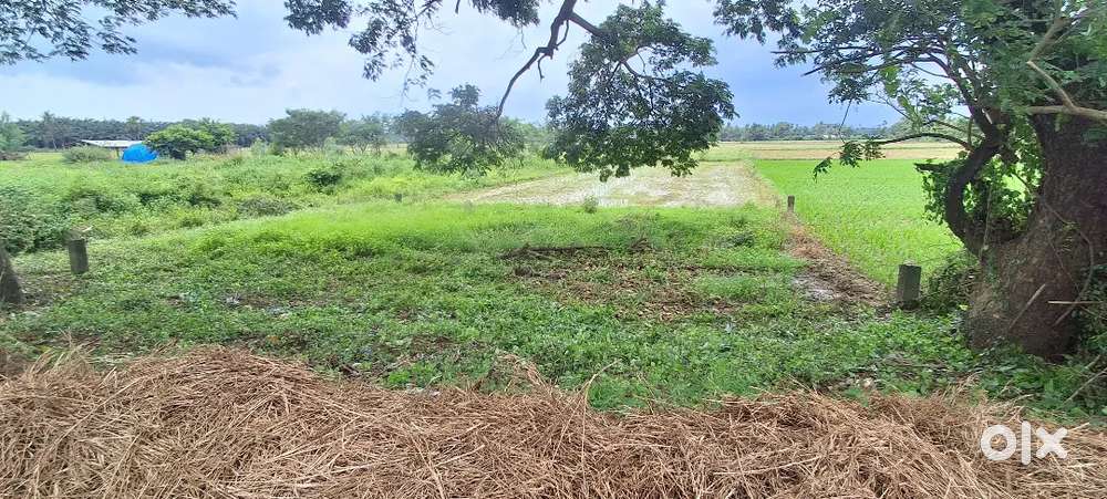 Site for sale
