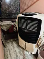 Cooler  5 year old