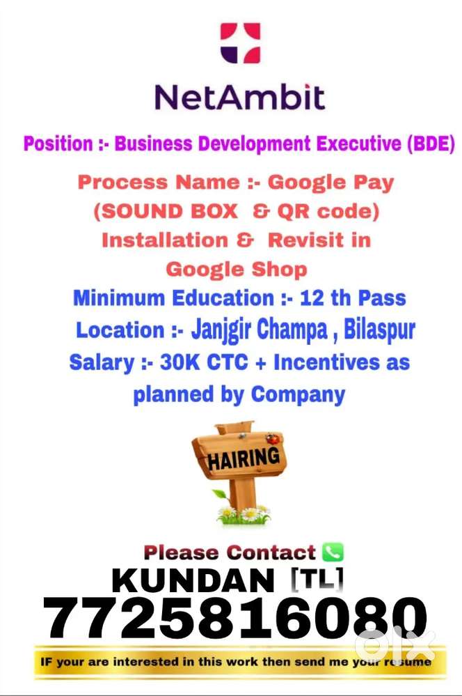 Business Development Executive (BDE)