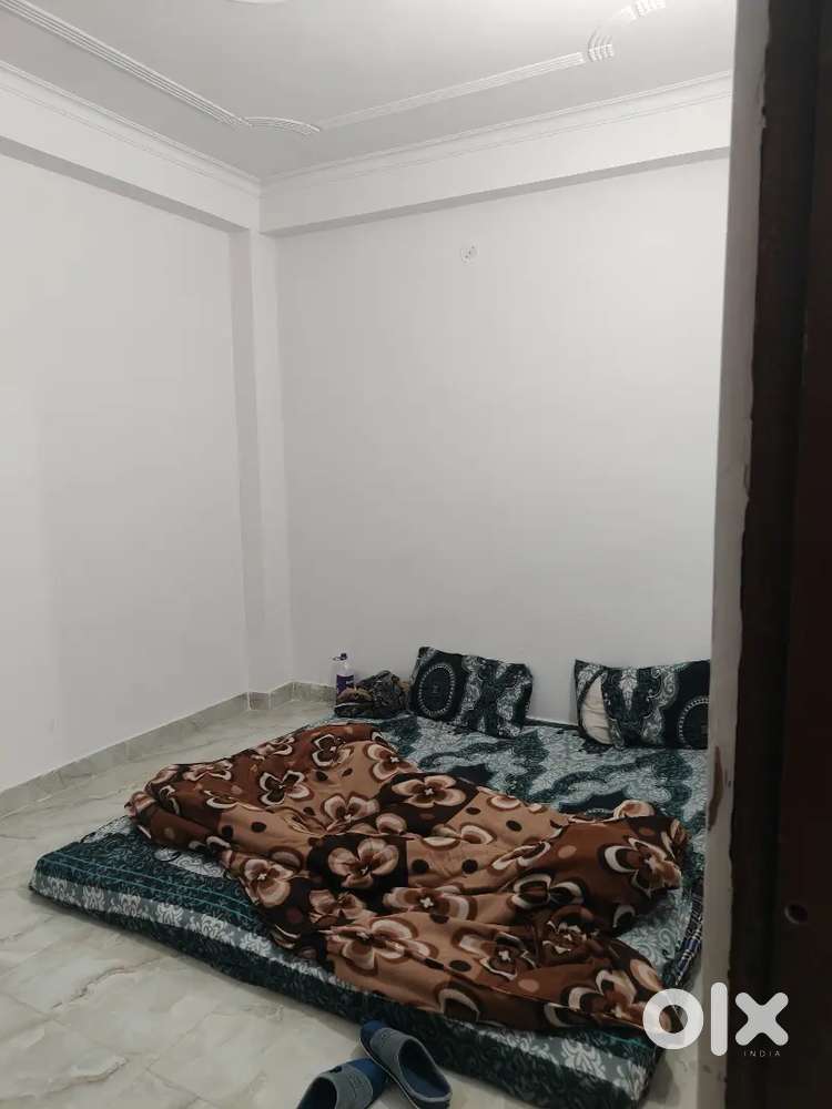 Need a Female Flatmate New Flat