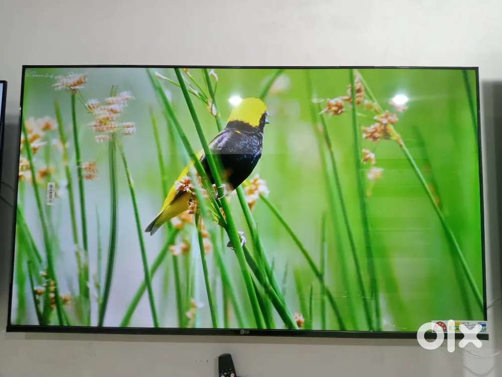 LG webOS smart 4k Q-LED TV with voice remote