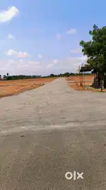 SULUR ZOHO IT TECH NEAR SUPER INVESTMENT PROJECT