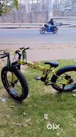 Fat tyre cycle