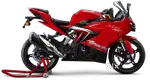 Apache RR 310