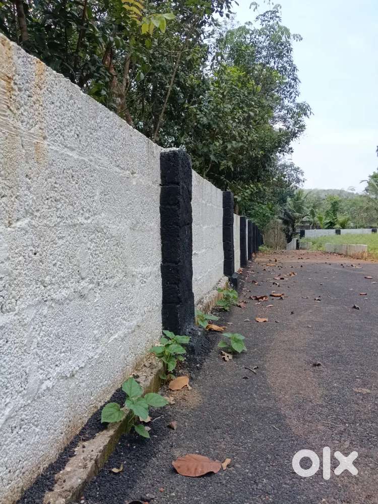 ഇത്രയും നല്ല പ്ലോട്ട്