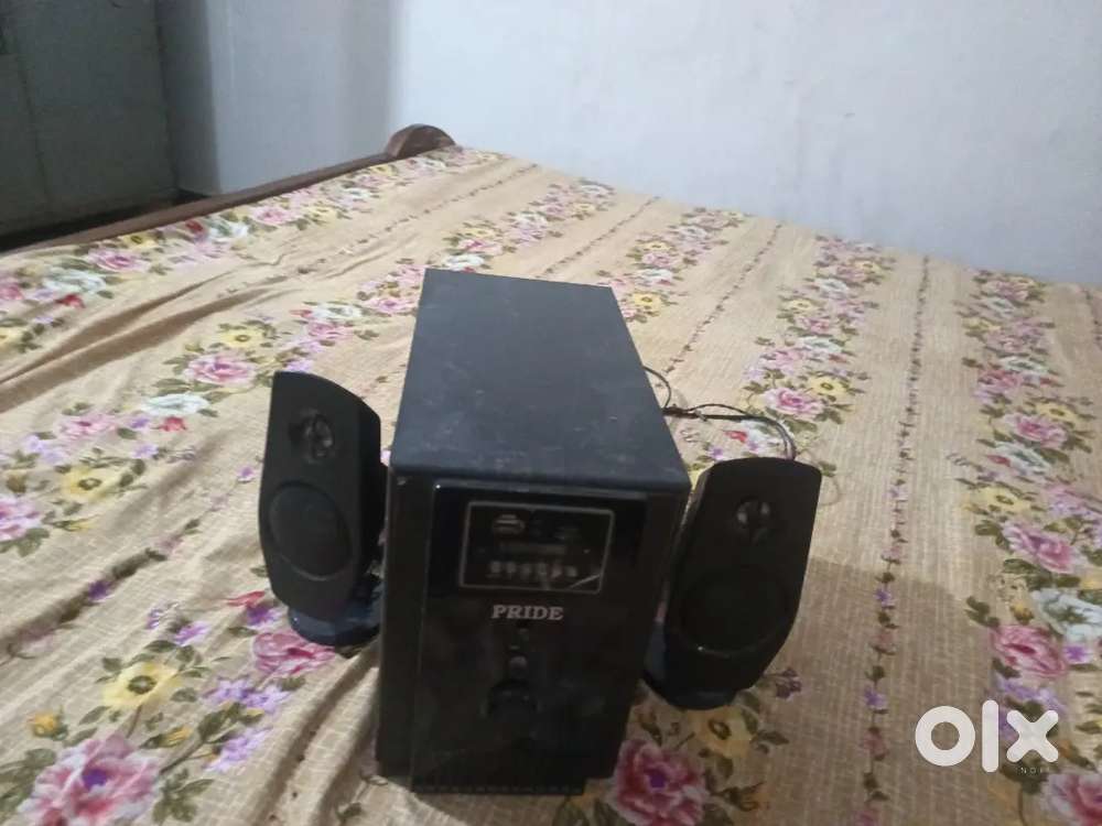Dj sound system with two speakers