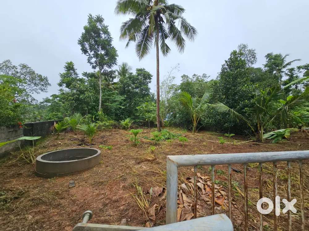 പ്രാവച്ചമ്പലംNH നിന്നും 100 മീറ്റർ 10 സെൻറ് സ്ഥലം