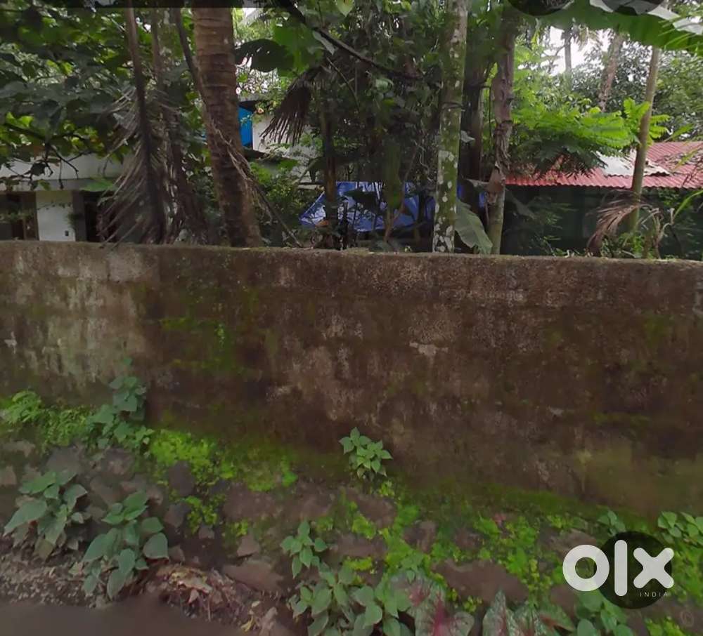 2 Cent land for sale in anthikkad