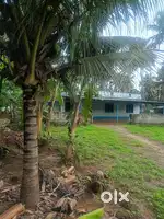 3.5 acre coconut thottam ,1200 sq.ft house for sale